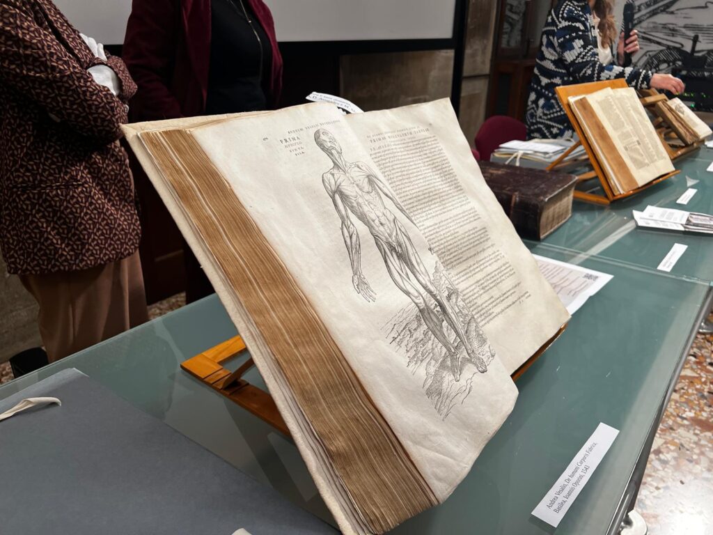 biblioteca bertoliana