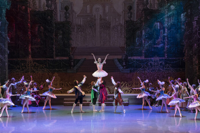 bella addormentata vicenza