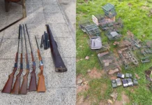 Bracconaggio e armi modificate a Marano Vicentino: denunciato un uomo dalla Polizia Provinciale bracconaggio marano vicentino