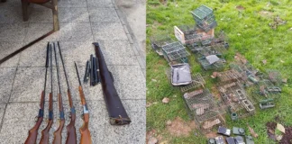 Bracconaggio e armi modificate a Marano Vicentino: denunciato un uomo dalla Polizia Provinciale bracconaggio marano vicentino