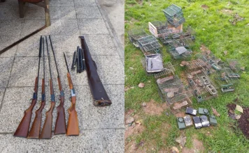 Bracconaggio e armi modificate a Marano Vicentino: denunciato un uomo dalla Polizia Provinciale bracconaggio marano vicentino