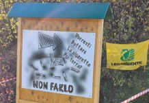 Festa dell’Albero a Vicenza: studenti protagonisti della cura del “Bosco di Anita” con Legambiente festa dell'albero bosco anita vicenza Legambiente