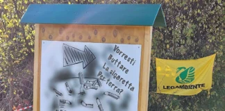 Festa dell’Albero a Vicenza: studenti protagonisti della cura del “Bosco di Anita” con Legambiente festa dell'albero bosco anita vicenza Legambiente