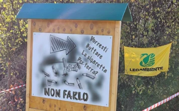 Festa dell’Albero a Vicenza: studenti protagonisti della cura del “Bosco di Anita” con Legambiente festa dell'albero bosco anita vicenza Legambiente