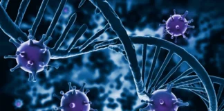 Hiv, giornalista D’Aria: “La scienza ha fatto passi enormi, la comunicazione no” hiv