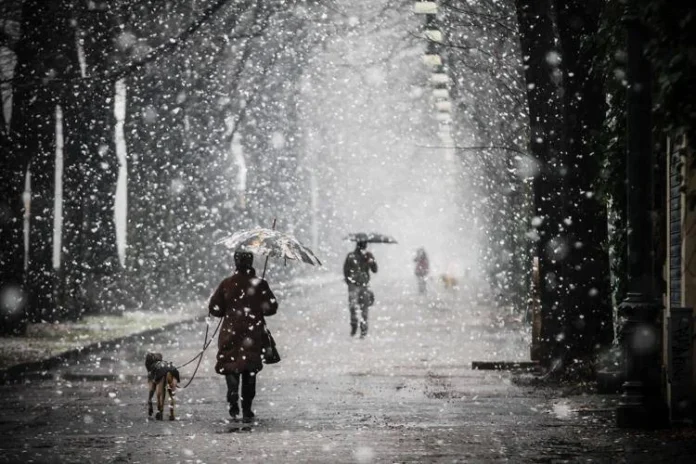 neve_citta_ipa_fg neve