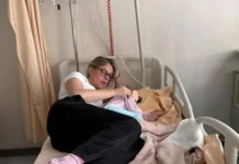 Federica Pellegrini, come sta la figlia Matilde dopo il ricovero in ospedale Federica Pellegrini