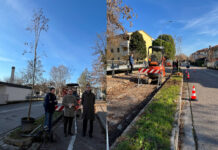 Vicenza, 21 nuove piante nella ciclabile di via Dalla Chiesa. In progetto 186 piantumazioni e un Masterplan per il verde urbano nuove piantumazioni in via Dalla Chiesa