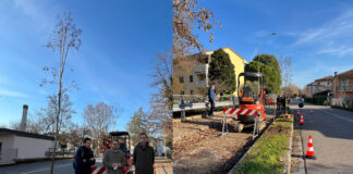 Vicenza, 21 nuove piante nella ciclabile di via Dalla Chiesa. In progetto 186 piantumazioni e un Masterplan per il verde urbano nuove piantumazioni in via Dalla Chiesa