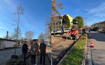 Vicenza, 21 nuove piante nella ciclabile di via Dalla Chiesa. In progetto 186 piantumazioni e un Masterplan per il verde urbano nuove piantumazioni in via Dalla Chiesa