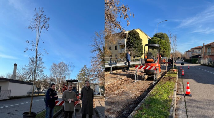 Vicenza, 21 nuove piante nella ciclabile di via Dalla Chiesa. In progetto 186 piantumazioni e un Masterplan per il verde urbano nuove piantumazioni in via Dalla Chiesa