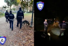 Polizia Locale Vicenza: lotta allo spaccio e al degrado, 8 arresti e 1300 dosi di droga sequestrate in 6 mesi polizia locale vicenza