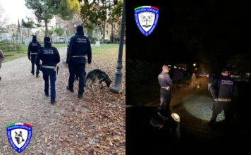 Polizia Locale Vicenza: lotta allo spaccio e al degrado, 8 arresti e 1300 dosi di droga sequestrate in 6 mesi polizia locale vicenza