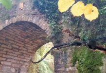 Schio, ponte via Rive di Magrè: partiti ieri i lavori d’urgenza per evitare il crollo ponte di via Rive di Magrè Schio