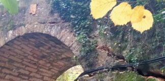 Schio, ponte via Rive di Magrè: partiti ieri i lavori d’urgenza per evitare il crollo ponte di via Rive di Magrè Schio