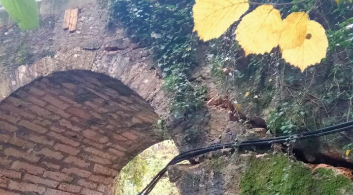 Schio, ponte via Rive di Magrè: partiti ieri i lavori d’urgenza per evitare il crollo ponte di via Rive di Magrè Schio