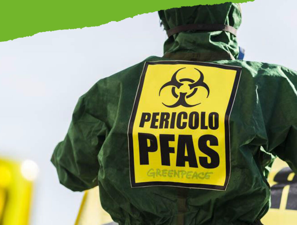 pfas greenpeace