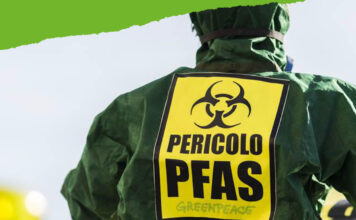 PFAS, scontro sulla Legge di Bilancio: “Emendamenti killer rinviano i limiti di legge” pfas greenpeace