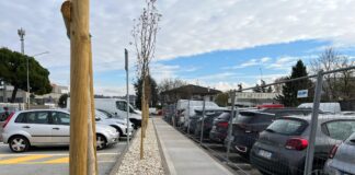 Vicenza, la zona industriale cambia volto: tanto verde in viale della Tecnica, nuova luce in via dell’Economia Vicenza viale della tecnica zona industriale