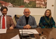 Vicenza rafforza la rete di accoglienza per le donne vittime di violenza violenza donne vicenza matteto tosetto