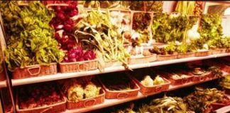 Agroalimentare: analisi Ismea, cresce attenzione famiglie italiane verso frutta e verdura