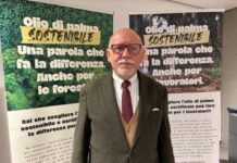 Alimentazione, esperto Donegani: “Olio di palma demonizzato, sostituirlo non porta benefici”