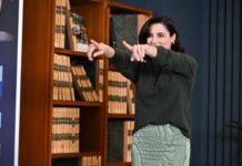 Ascolti tv, ‘La preside’ Luisa Ranieri vola al 27% di share e Rai1 vince la prima serata