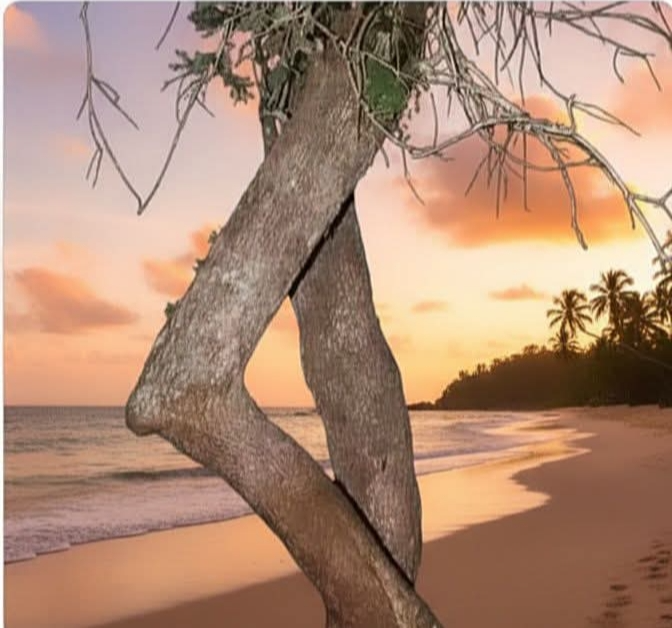 Blue monday un'immagine tipica