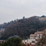 Montebello Vicentino, al via il recupero del Bosco Urbano: un investimento da 67mila euro Bosco Urbano Montebello Vicentino