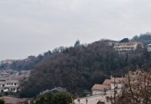 Montebello Vicentino, al via il recupero del Bosco Urbano: un investimento da 67mila euro Bosco Urbano Montebello Vicentino