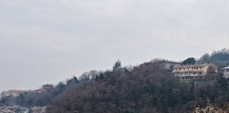 Montebello Vicentino, al via il recupero del Bosco Urbano: un investimento da 67mila euro Bosco Urbano Montebello Vicentino