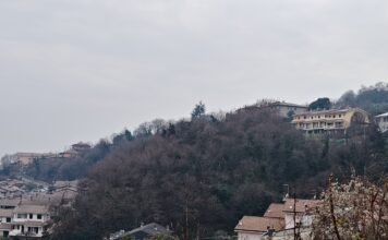 Montebello Vicentino, al via il recupero del Bosco Urbano: un investimento da 67mila euro Bosco Urbano Montebello Vicentino