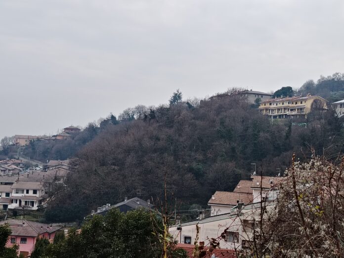 Bosco Urbano Montebello Vicentino