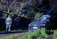 Cacciatori uccisi nel bosco a Messina, c’è un indagato