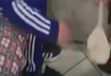 Catania, bimbo picchiato con un cucchiaio di legno: scatta il divieto di avvicinamento per i genitori