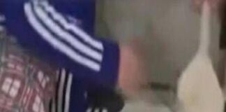 Catania, bimbo picchiato con un cucchiaio di legno: scatta il divieto di avvicinamento per i genitori