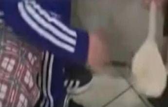 Catania, bimbo picchiato con un cucchiaio di legno: scatta il divieto di avvicinamento per i genitori