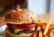 Cibo spazzatura manda il cervello in tilt, l’effetto sulla memoria: lo studio