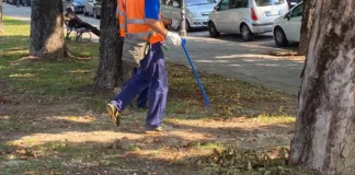 Cittadini attivi a Vicenza: al via l’Lpu 2025 per l’inserimento lavorativo temporaneo dei disoccupati senza tutele Cittadini attivi a Vicenza, avviso Lavori pubblica utilità (Lpu) 2025