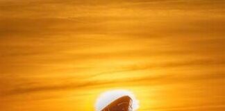 Climatologia spaziale: il metodo italiano per prevedere i brillamenti solari