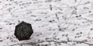 Dal freddo artico al tempestoso Maestrale: brusca svolta meteo sull’Italia