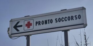 Due bambine azzannate da un cane randagio a Bari: una è in rianimazione
