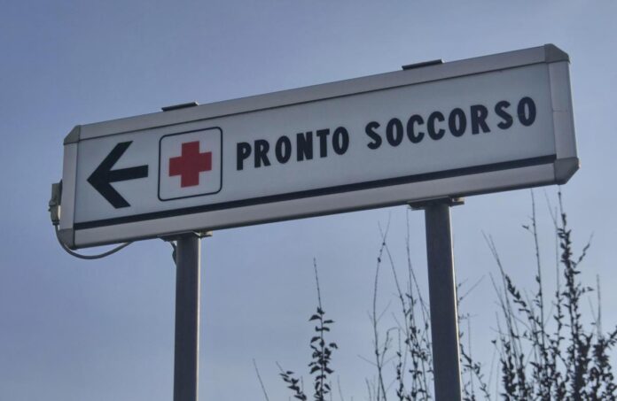 Due bambine azzannate da un cane randagio a Bari: una è in rianimazione