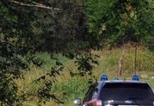 Franka Ludwig, svolta sulla morte dopo 6 mesi: arrestati il compagno e un’amica