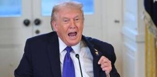 Furia Trump: “Mi fanno causa per la sala da ballo alla Casa Bianca”
