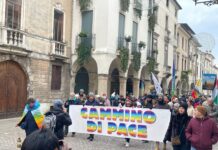Cammino di pace diocesano, Vicenza risponde: centinaia di persone in marcia per una pace disarmata Giornata Mondiale per la Pace Giovedì 1 Gennaio 2026, sfilano i vicentini nel Cammino di pace