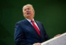 Groenlandia, Trump dice sì all’accordo: decisivo ok a basi Usa sull’isola