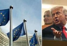 Groenlandia, Ue cerca unità: paesi divisi su risposta a Trump