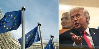 Groenlandia, Ue cerca unità: paesi divisi su risposta a Trump