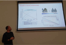 Il futuro delle foreste: come i boschi si adattano al cambiamento climatico, Marco Mina ospite alla scuola del lunedì scuola del lunedì